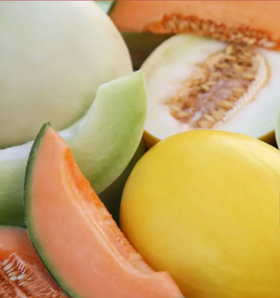 Melon Antioxidant